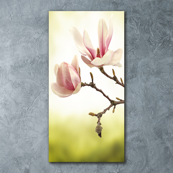 Staand foto op plexiglas Magnolia bloemen