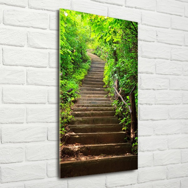 Staand foto in plexiglas Trap naar het bos