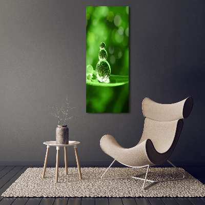 Staand plexiglas foto Druppels op het gras