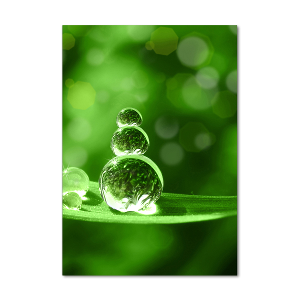 Staand plexiglas foto Druppels op het gras