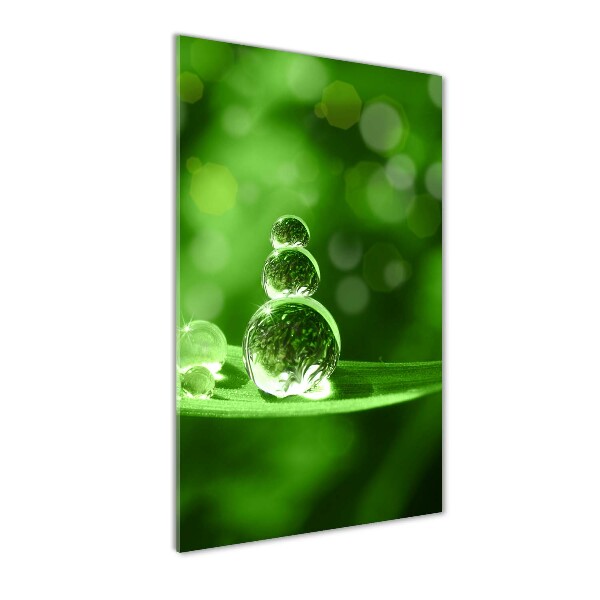 Obraz zdjęcie na ścianę akryl pionowy Krople na trawie