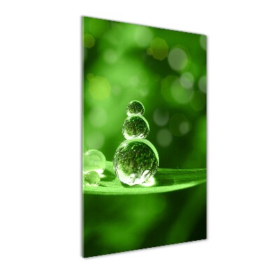 Staand plexiglas foto Druppels op het gras