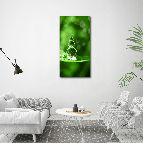 Obraz zdjęcie na ścianę akryl pionowy Krople na trawie