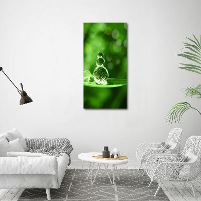 Obraz zdjęcie na ścianę akryl pionowy Krople na trawie