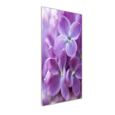 Staand foto plexiglas Seringbloemen