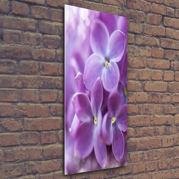 Staand foto plexiglas Seringbloemen