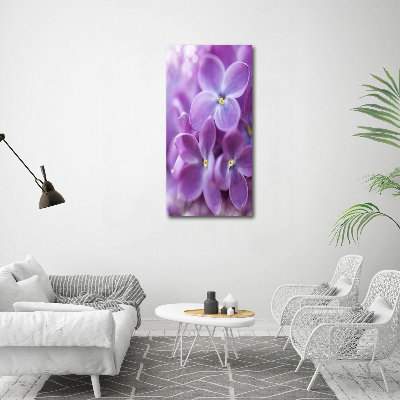 Staand foto plexiglas Seringbloemen