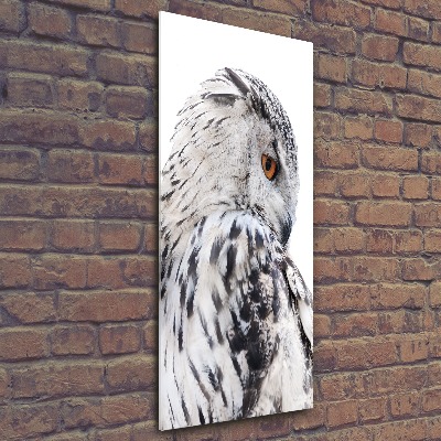 Staand plexiglas foto Witte uil