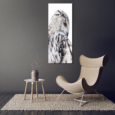 Staand plexiglas foto Witte uil