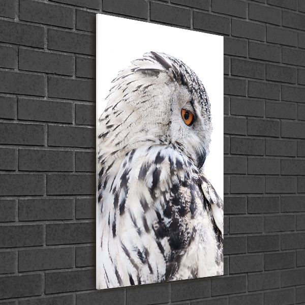 Staand plexiglas foto Witte uil