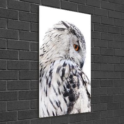 Staand plexiglas foto Witte uil