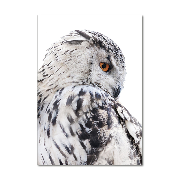 Staand plexiglas foto Witte uil