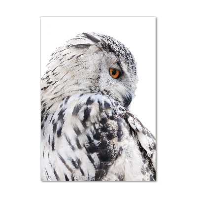 Staand plexiglas foto Witte uil