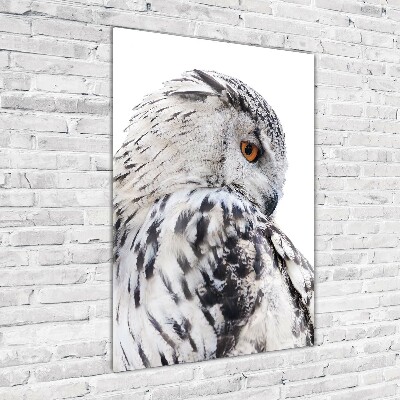 Staand plexiglas foto Witte uil