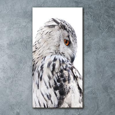 Staand plexiglas foto Witte uil