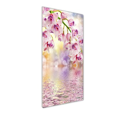 Staand foto op plexiglas Orchidee
