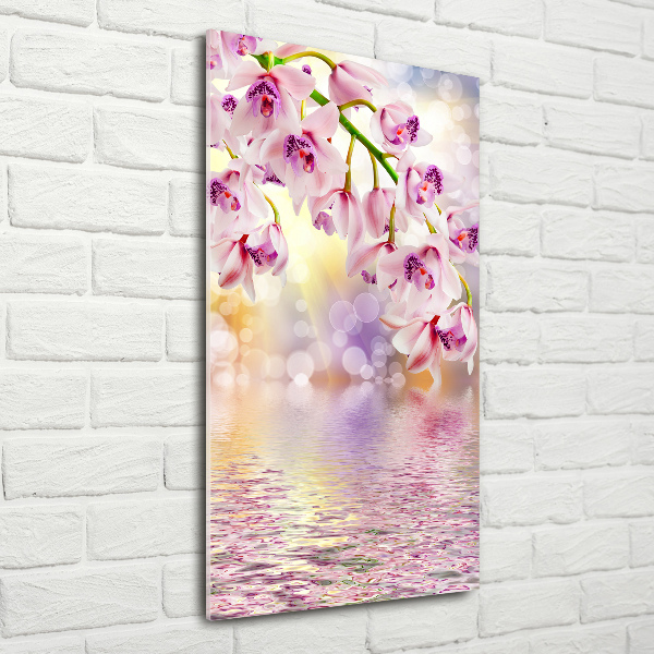 Staand foto op plexiglas Orchidee