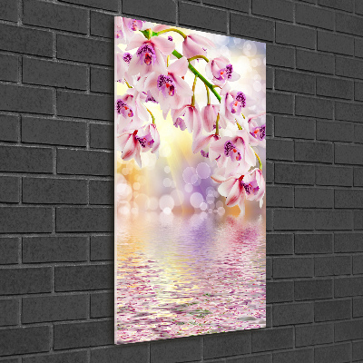 Staand foto op plexiglas Orchidee