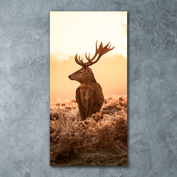 Foto obraz na ścianę akryl pionowy Jeleń wschód słońca