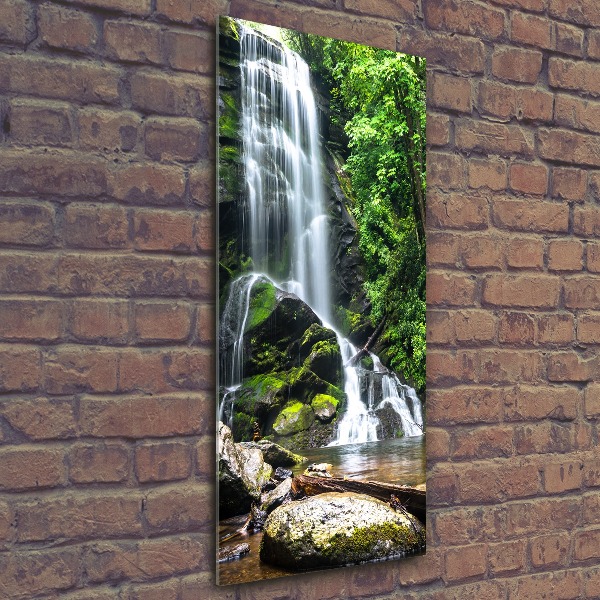 Staand foto plexiglas Waterval in de jungle