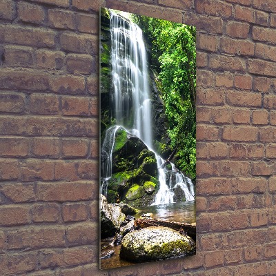 Staand foto plexiglas Waterval in de jungle