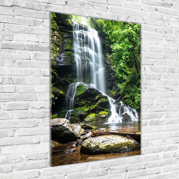 Staand foto plexiglas Waterval in de jungle
