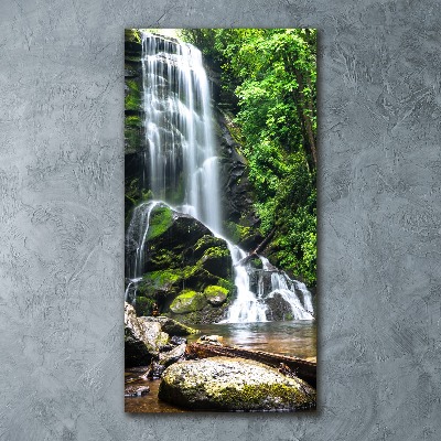 Staand foto plexiglas Waterval in de jungle