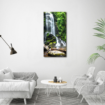 Staand foto plexiglas Waterval in de jungle