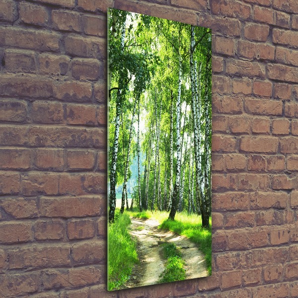 Staand foto plexiglas Berkenbos