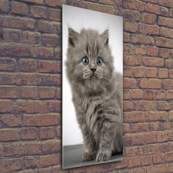 Staand foto in plexiglas Grijze Britse kat