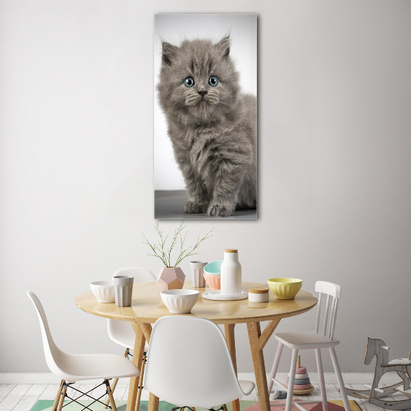 Staand foto in plexiglas Grijze Britse kat