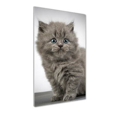 Staand foto in plexiglas Grijze Britse kat