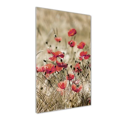 Staand plexiglas foto Wilde bloemen