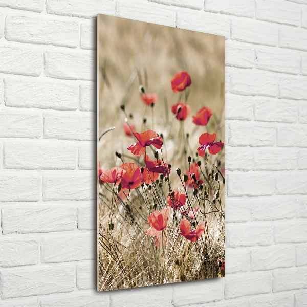 Staand plexiglas foto Wilde bloemen