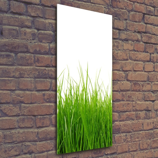 Staand foto plexiglas Groen gras