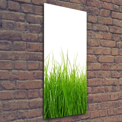 Staand foto plexiglas Groen gras