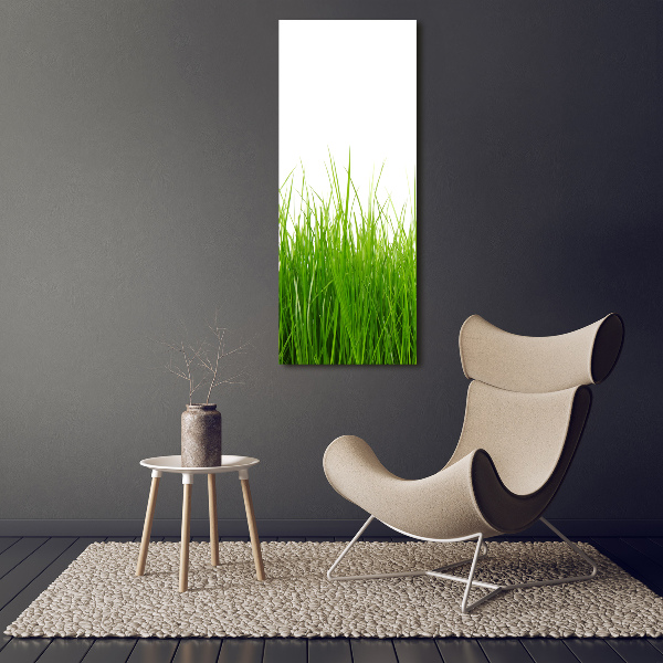 Staand foto plexiglas Groen gras