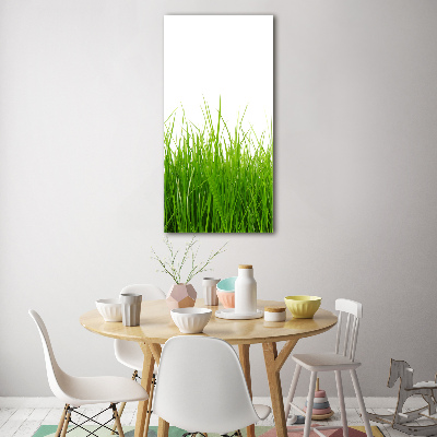 Staand foto plexiglas Groen gras