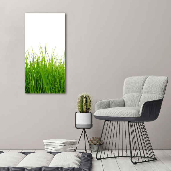 Staand foto plexiglas Groen gras