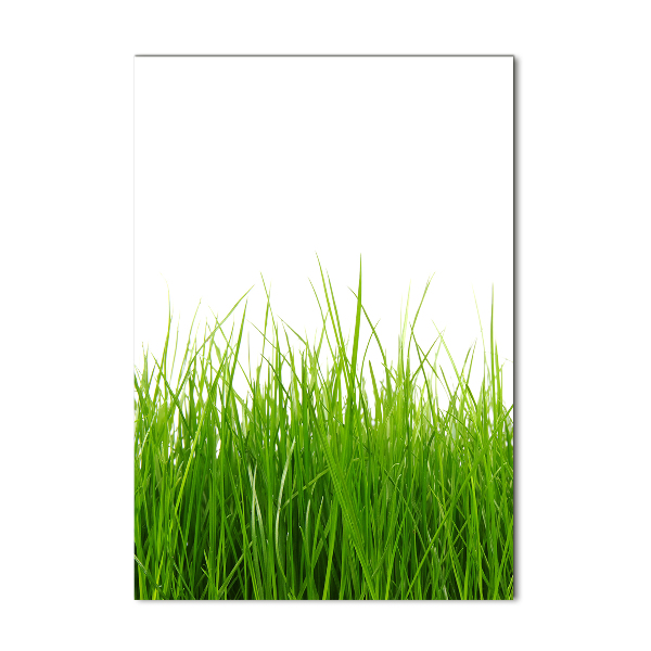 Staand foto plexiglas Groen gras