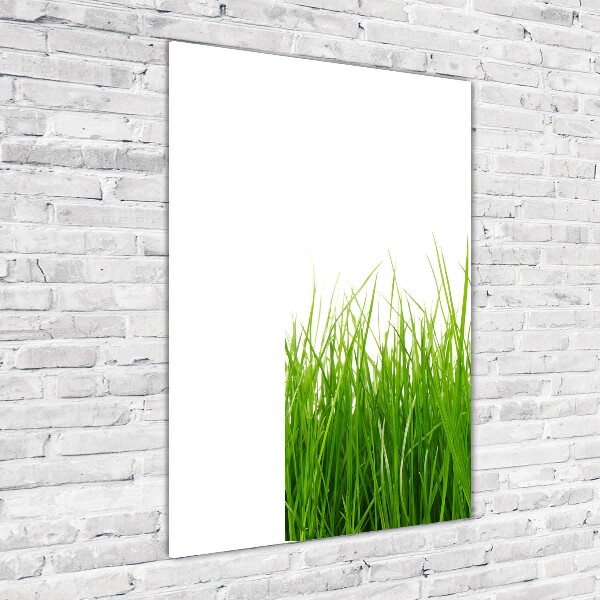 Staand foto plexiglas Groen gras