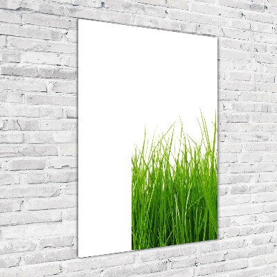 Staand foto plexiglas Groen gras