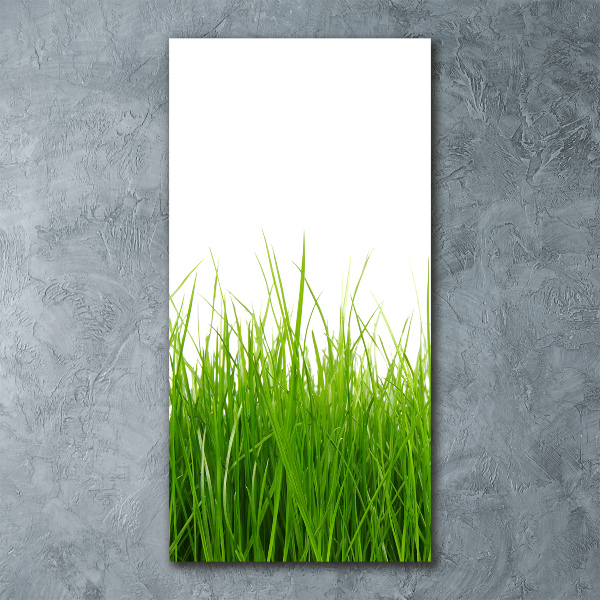 Staand foto plexiglas Groen gras