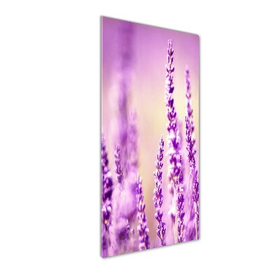 Staand foto plexiglas Lavendel