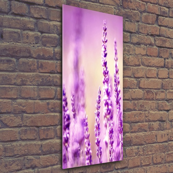 Staand foto plexiglas Lavendel
