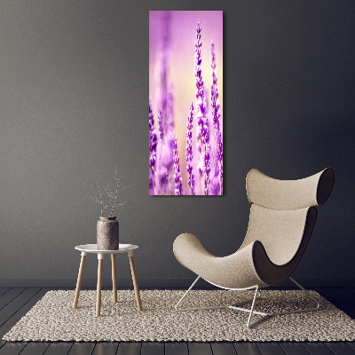 Staand foto plexiglas Lavendel