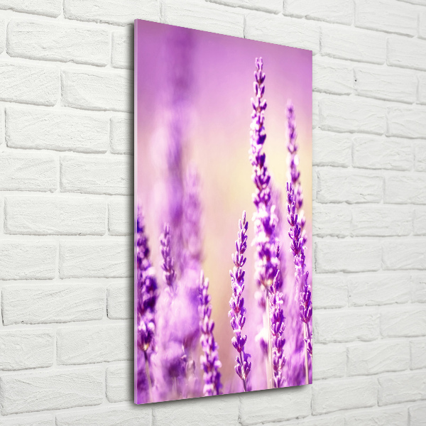 Staand foto plexiglas Lavendel