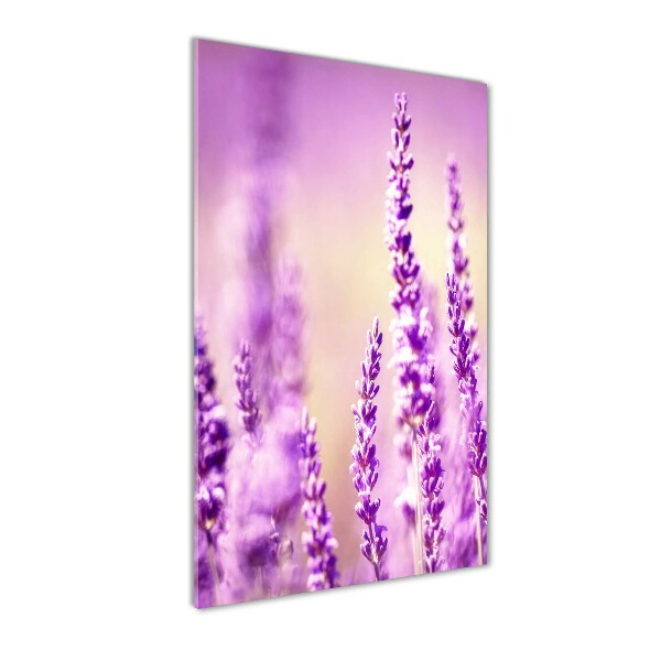 Staand foto plexiglas Lavendel