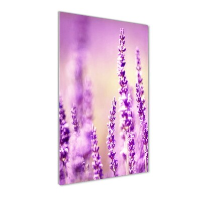 Staand foto plexiglas Lavendel