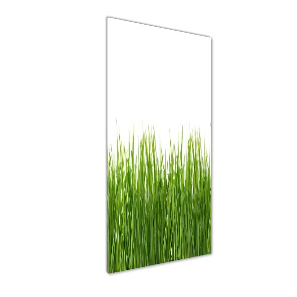 Staand foto op plexiglas Groen gras